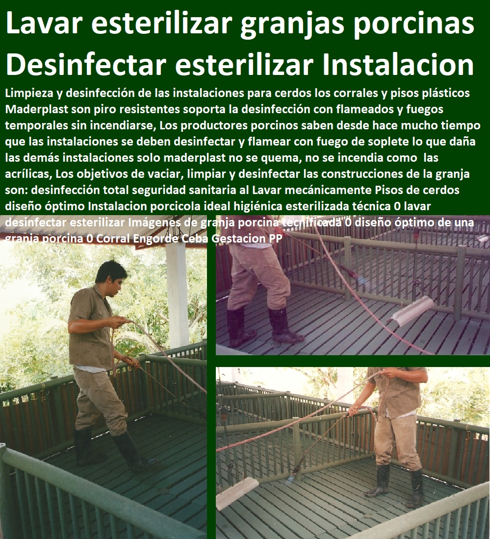 Pisos de cerdos diseño óptimo Instalacion porcicola ideal higiénica esterilizada técnica 0 lavar desinfectar esterilizar Imágenes de granja porcina tecnificada 0 como montar una granja porcina Corral Engorde Ceba Gestacion Parideras Pisos de cerdos diseño óptimo Instalacion porcicola ideal higiénica esterilizada técnica 0 lavar desinfectar esterilizar Imágenes de granja porcina tecnificada 0 como montar una granja porcina Corral Engorde Ceba Gestacion Parideras